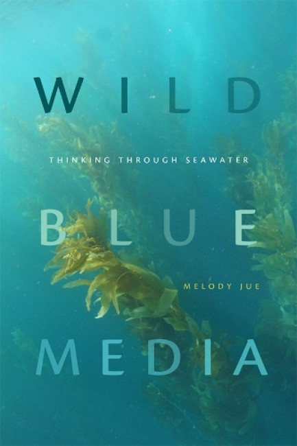 Bokomslag: Wild Blue Media av Melody Jue