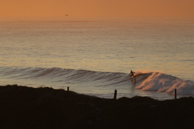 Bølgesurfer i brytende bølger i havet.