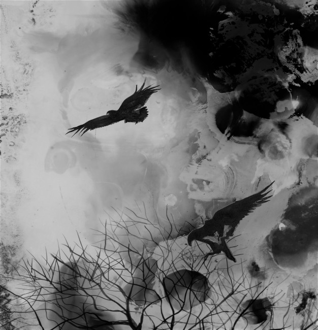 yggdrasil med hauker svart hvitt