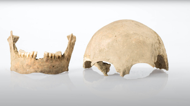 Hodeskalle fra skjelett som dateres til tidlig middelalder