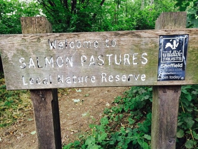 A wooden sign for the Salmon Pastures nature reserve near Sheffield, England